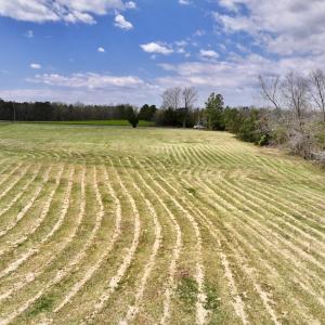 Photo #14 of SOLD property in Off Bessie Hicks Road, Norlina, NC 5.0 acres
