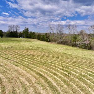 Photo #15 of SOLD property in Off Bessie Hicks Road, Norlina, NC 5.0 acres