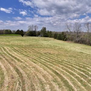 Photo #16 of SOLD property in Off Bessie Hicks Road, Norlina, NC 5.0 acres