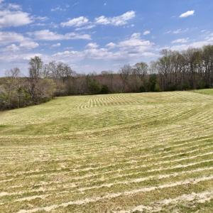 Photo #17 of SOLD property in Off Bessie Hicks Road, Norlina, NC 5.0 acres