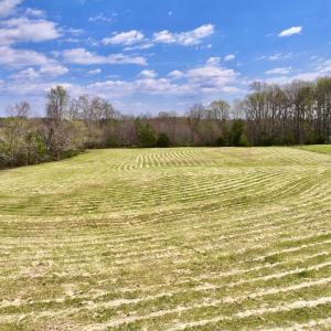 Photo #18 of SOLD property in Off Bessie Hicks Road, Norlina, NC 5.0 acres