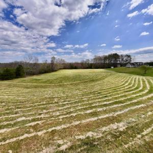 Photo #19 of SOLD property in Off Bessie Hicks Road, Norlina, NC 5.0 acres