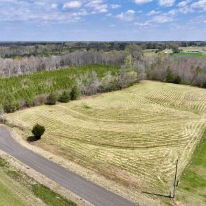 Photo #2 of SOLD property in Off Bessie Hicks Road, Norlina, NC 5.0 acres