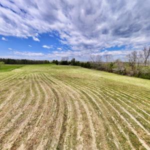 Photo #20 of SOLD property in Off Bessie Hicks Road, Norlina, NC 5.0 acres