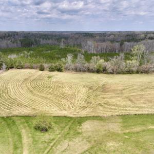 Photo #4 of SOLD property in Off Bessie Hicks Road, Norlina, NC 5.0 acres