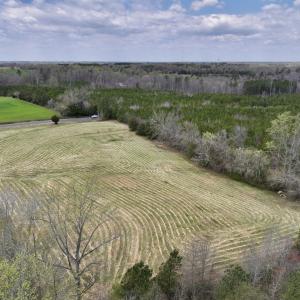 Photo #5 of SOLD property in Off Bessie Hicks Road, Norlina, NC 5.0 acres