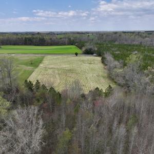 Photo #6 of SOLD property in Off Bessie Hicks Road, Norlina, NC 5.0 acres
