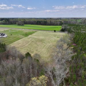 Photo #7 of SOLD property in Off Bessie Hicks Road, Norlina, NC 5.0 acres