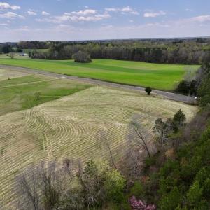 Photo #8 of SOLD property in Off Bessie Hicks Road, Norlina, NC 5.0 acres