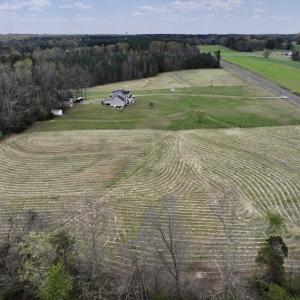 Photo #9 of SOLD property in Off Bessie Hicks Road, Norlina, NC 5.0 acres