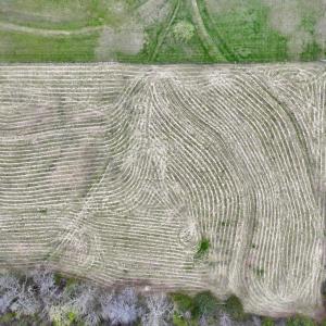 Photo #21 of SOLD property in Off Bessie Hicks Road, Norlina, NC 5.0 acres