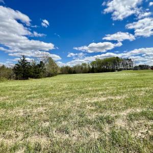 Photo #23 of SOLD property in Off Bessie Hicks Road, Norlina, NC 5.0 acres