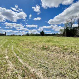 Photo #24 of SOLD property in Off Bessie Hicks Road, Norlina, NC 5.0 acres