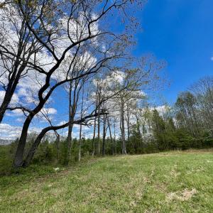 Photo #26 of SOLD property in Off Bessie Hicks Road, Norlina, NC 5.0 acres