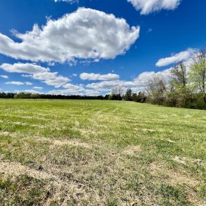 Photo #27 of SOLD property in Off Bessie Hicks Road, Norlina, NC 5.0 acres
