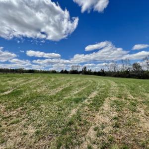 Photo #28 of SOLD property in Off Bessie Hicks Road, Norlina, NC 5.0 acres
