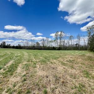 Photo #29 of SOLD property in Off Bessie Hicks Road, Norlina, NC 5.0 acres