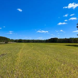 Photo #3 of Off Benefit Rd, Chesapeake, VA 40.0 acres