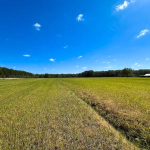 Photo #4 of Off Benefit Rd, Chesapeake, VA 40.0 acres
