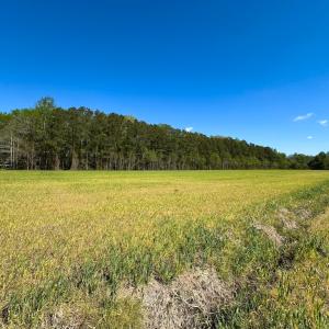 Photo #6 of Off Benefit Rd, Chesapeake, VA 40.0 acres