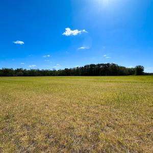Photo #8 of Off Benefit Rd, Chesapeake, VA 40.0 acres