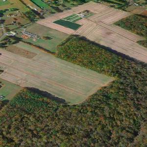 Photo #9 of Off Benefit Rd, Chesapeake, VA 40.0 acres