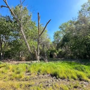 Photo #10 of Off Benefit Rd, Chesapeake, VA 40.0 acres