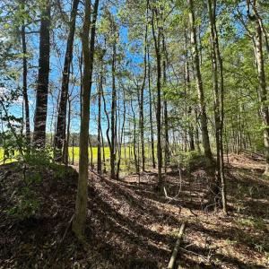 Photo #12 of Off Benefit Rd, Chesapeake, VA 40.0 acres