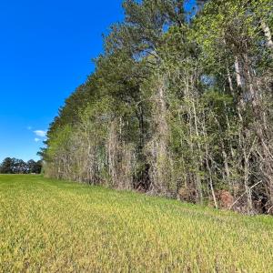 Photo #15 of Off Benefit Rd, Chesapeake, VA 40.0 acres