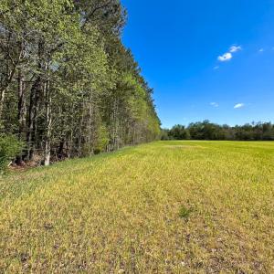 Photo #16 of Off Benefit Rd, Chesapeake, VA 40.0 acres