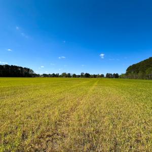 Photo #17 of Off Benefit Rd, Chesapeake, VA 40.0 acres