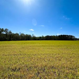 Photo #18 of Off Benefit Rd, Chesapeake, VA 40.0 acres