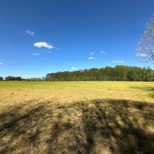 Photo #20 of Off Benefit Rd, Chesapeake, VA 40.0 acres