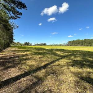 Photo #22 of Off Benefit Rd, Chesapeake, VA 40.0 acres