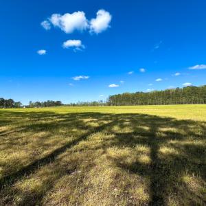 Photo #24 of Off Benefit Rd, Chesapeake, VA 40.0 acres