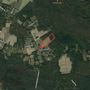 Photo #28 of Off Benefit Rd, Chesapeake, VA 40.0 acres