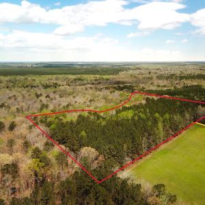 Photo #1 of Off Riverdale Dr, Franklin, VA 11.3 acres