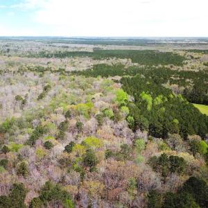 Photo #2 of Off Riverdale Dr, Franklin, VA 11.3 acres