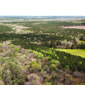Photo #3 of Off Riverdale Dr, Franklin, VA 11.3 acres