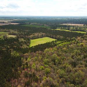 Photo #4 of Off Riverdale Dr, Franklin, VA 11.3 acres