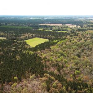 Photo #5 of Off Riverdale Dr, Franklin, VA 11.3 acres