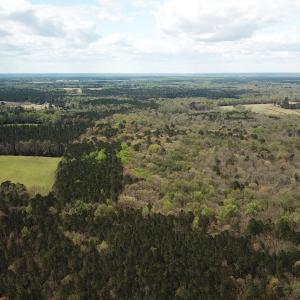 Photo #6 of Off Riverdale Dr, Franklin, VA 11.3 acres