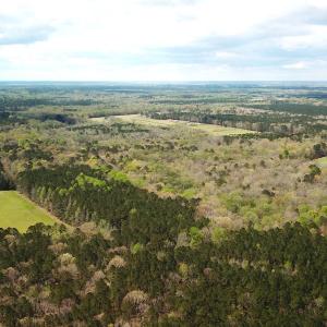 Photo #7 of Off Riverdale Dr, Franklin, VA 11.3 acres
