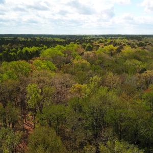 Photo #8 of Off Riverdale Dr, Franklin, VA 11.3 acres