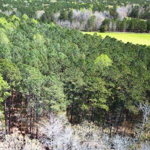 Photo #11 of Off Riverdale Dr, Franklin, VA 11.3 acres