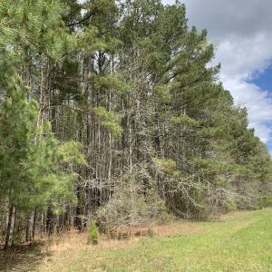 Photo #12 of Off Riverdale Dr, Franklin, VA 11.3 acres