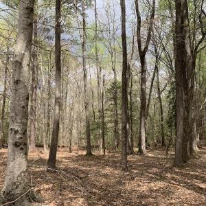 Photo #17 of Off Riverdale Dr, Franklin, VA 11.3 acres