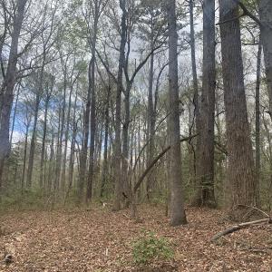 Photo #18 of Off Riverdale Dr, Franklin, VA 11.3 acres