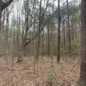 Photo #24 of Off Riverdale Dr, Franklin, VA 11.3 acres
