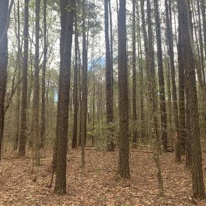 Photo #25 of Off Riverdale Dr, Franklin, VA 11.3 acres